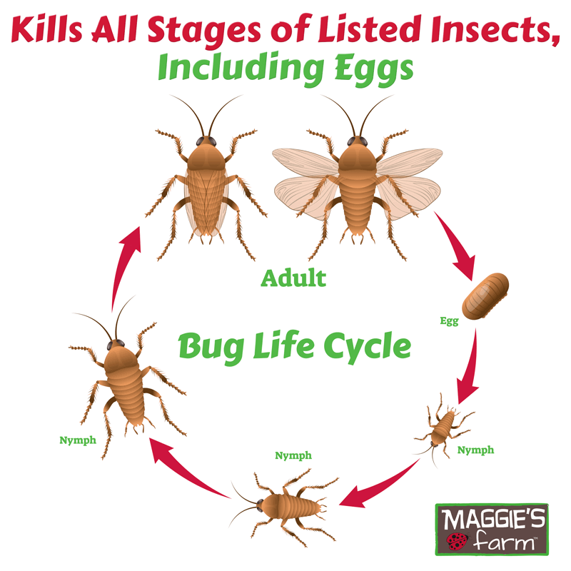 Beetle & Boxelder Bug Killer - Image 3