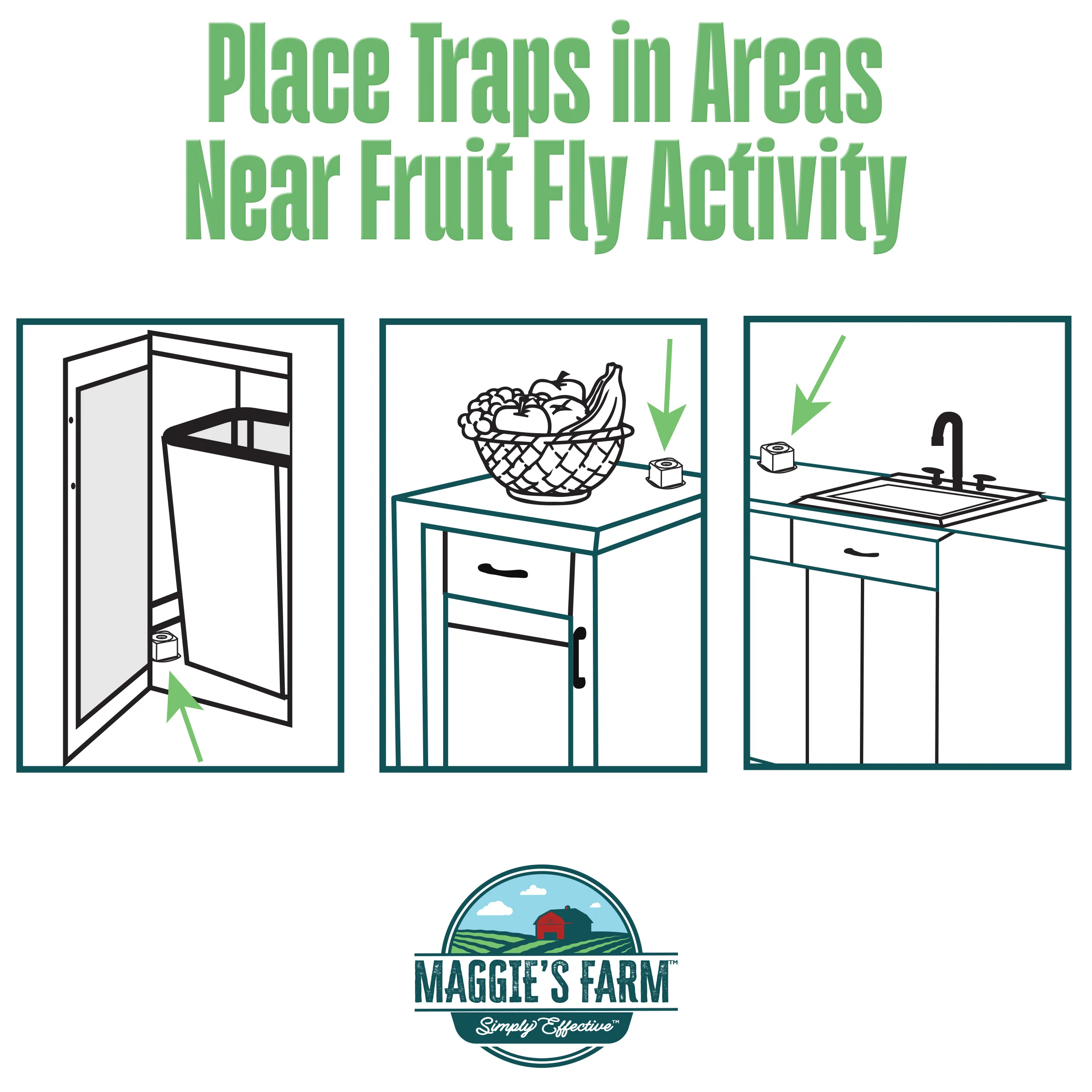 Fruit Fly Trap - Image 4