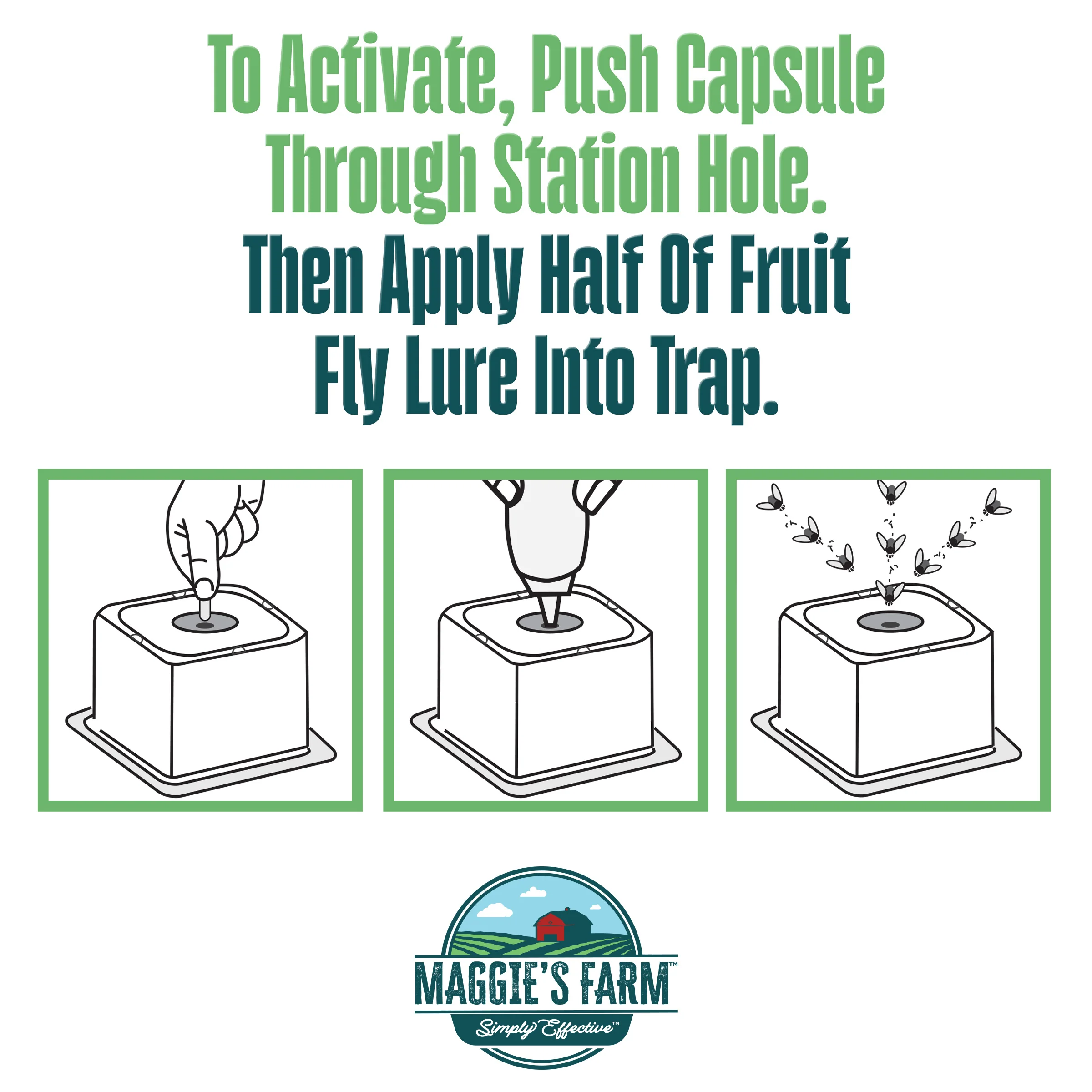 Fruit Fly Trap - Image 5